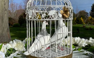Doves – A symbol of Peace, Unity & Love